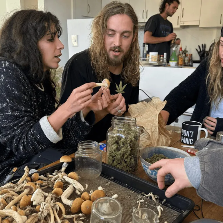 Psilocybin Food Safety: Navigating Risks, Tips & Truths for Shroom Lovers Curious about psilocybin food safety? Uncover must-know tips and hidden risks. Learn how to safely enjoy your shrooms—click for expert insight!