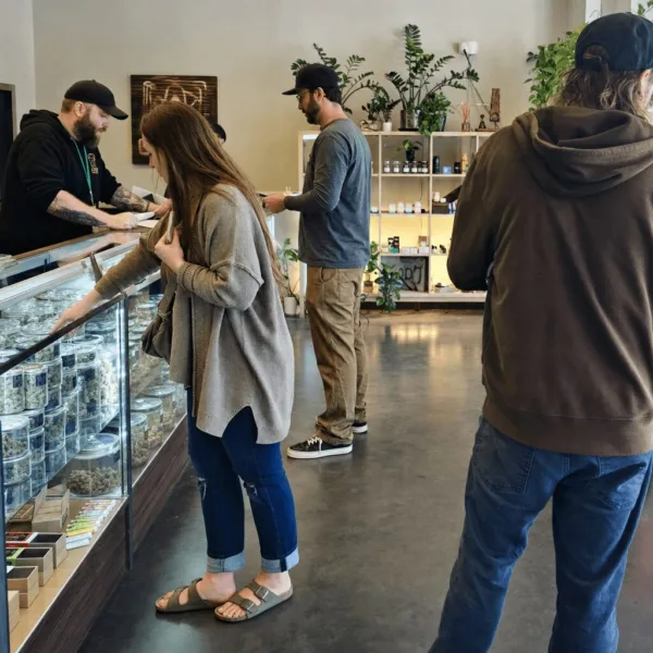 Ready to secure your spot? Redmond marijuana dispensary application info revealed—find out how you can be the next to join the local cannabis scene!