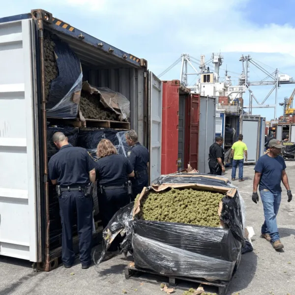 Shocking Marijuana Seizure Port Baltimore: Massive Bust Sends Ripples in 2024 Discover how a stunning marijuana seizure Port Baltimore halted over 10,000 pounds en route to England. What tipped off authorities? Find out now!