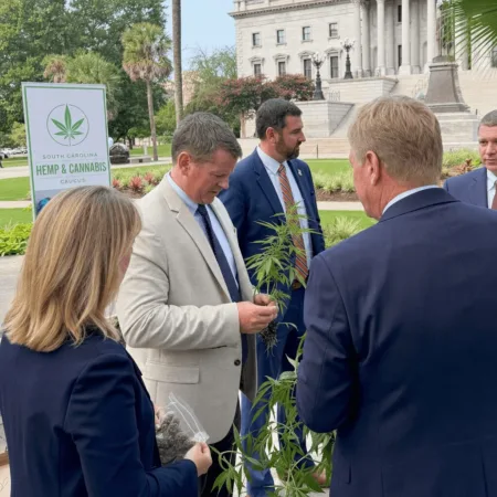 Dive into the latest on South Carolina hemp THC rules. Uncover what the new decisions mean and how they might impact you—curious about your rights?
