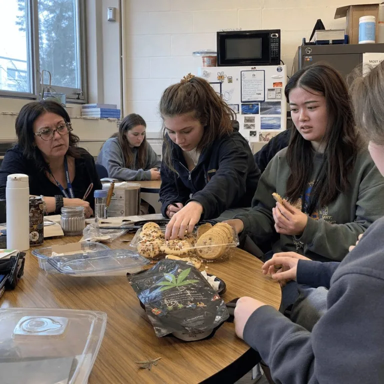 THC Cookie Ingestion Incident: Shocking School Snack Mix-Up Raises New Questions Caught in a THC cookie ingestion incident at school? Discover how a simple treat led to a crisis and why everyone’s talking about this urgent story.
