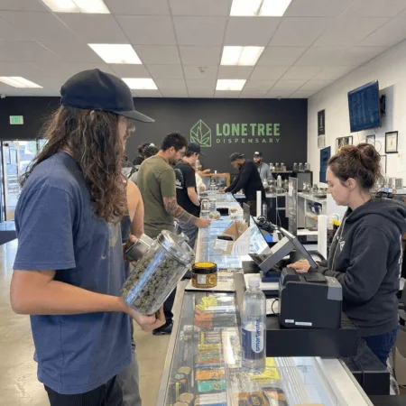 Illegal activity marijuana industry is under fire—do you know what’s really happening? Discover the startling issues insiders are afraid to discuss.