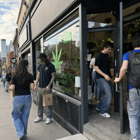 Toronto cannabis FIFA legal notice ignites city buzz and global debate Discover how the Toronto cannabis FIFA legal notice is shaking up the scene. Curious? Uncover surprising details about this high-profile showdown inside!