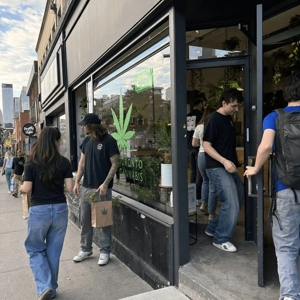 Toronto cannabis FIFA legal notice ignites city buzz and global debate Discover how the Toronto cannabis FIFA legal notice is shaking up the scene. Curious? Uncover surprising details about this high-profile showdown inside!