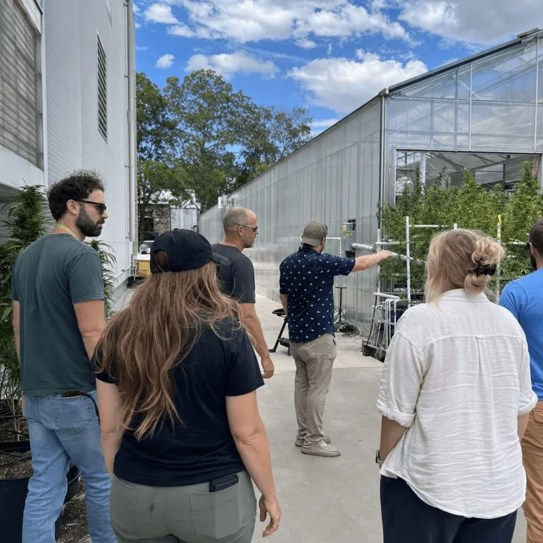 Trulieve Cannabis Facility Oversight: Can Regulation and Community Coexist? Discover why Trulieve cannabis facility oversight is making headlines. Can stronger oversight protect your community? Get the inside scoop now.