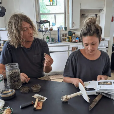 Discover the Amanita mushroom poisoning case in California—see what went wrong, how psilocybin was tested, and what this means for your safety.