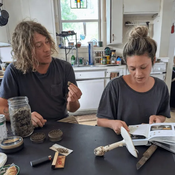 Unpacking the Shocking Amanita Mushroom Poisoning Case: A California Wakeup Call Discover the Amanita mushroom poisoning case in California—see what went wrong, how psilocybin was tested, and what this means for your safety.