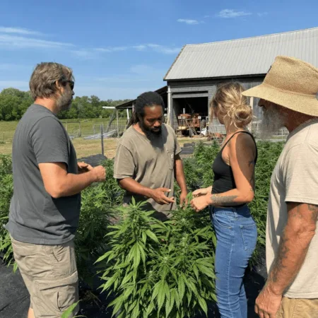 Virginia Marijuana Impact Hemp: What Every Farmer Needs to Know in 2024 Ready for change? Virginia marijuana impact hemp could reshape local farming. Uncover surprising effects and must-know insights for Virginia's growers.