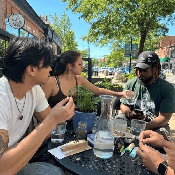 Curious about the future of the Virginia recreational marijuana market? Discover insider updates, ongoing talks, and what could change soon—don’t miss out!
