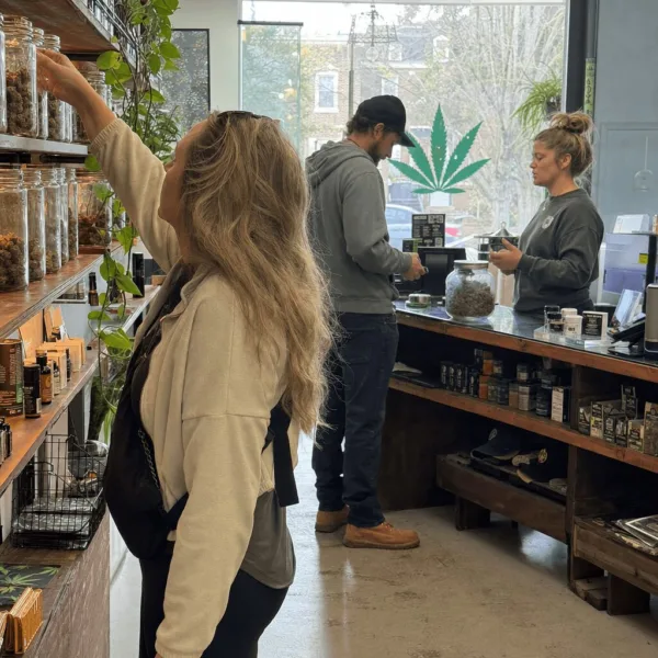 Get the inside scoop on the Virginia retail marijuana market. Will the green rush finally arrive? Discover what's really happening—don't miss out!
