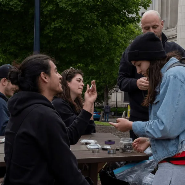 Curious about the latest Washington marijuana restrictions? Get the inside scoop on new rules, potential freedoms, and how they could impact you.
