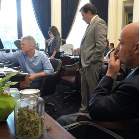 What’s Next for the Pennsylvania Cannabis Regulatory Board? Inside the Senate Debate Curious about the fate of the Pennsylvania cannabis regulatory board? Discover what the recent Senate decision means for cannabis legalization in PA.