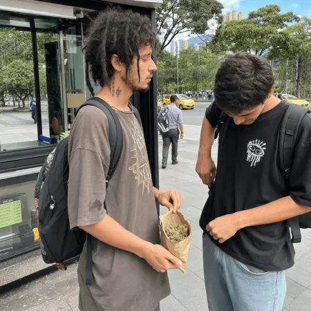 Curious about how to buy weed Medellín safely and legally? Discover insider tips on Colombia's cannabis laws—don't miss out on the green scene!