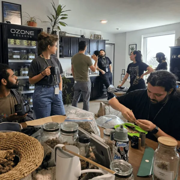 Discover how cannabis industry culture shapes resilience in tough times. Uncover real stories and unique insights you can't afford to miss.