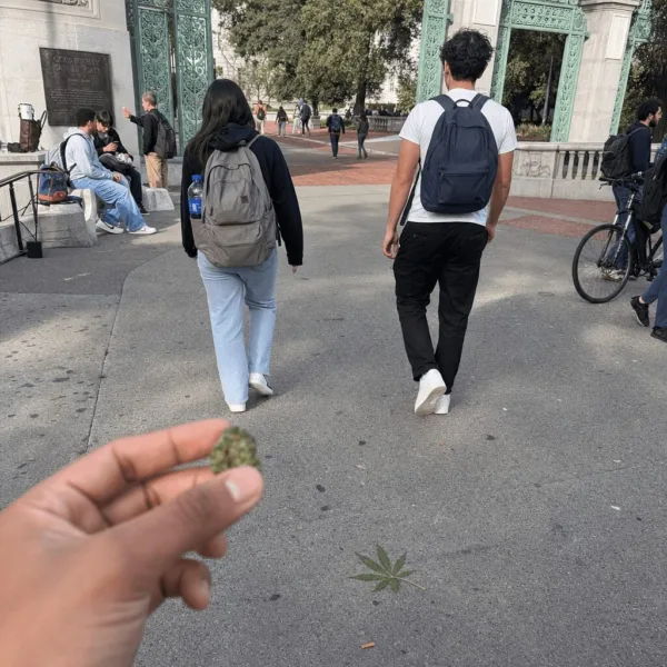Discover how marijuana penalties near schools escalate under new Louisiana law. Are you at risk? Get the facts that could impact your future today.