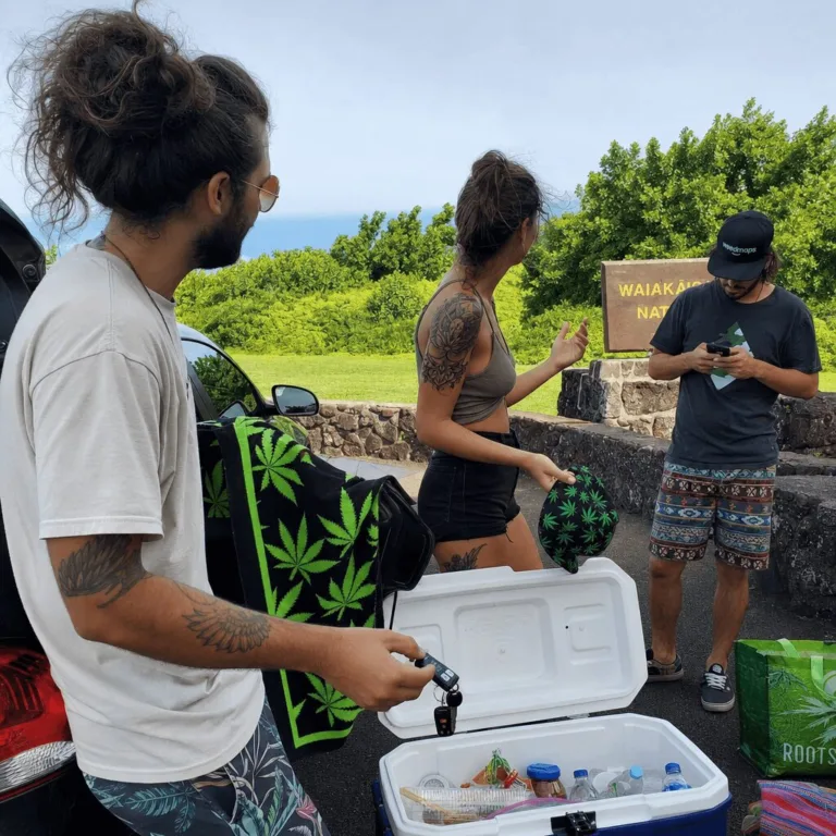 Discover how summer sober driving saves lives. Ready to make smarter choices? Learn TxDOT’s secrets for staying safe and cannabis-aware on the road.