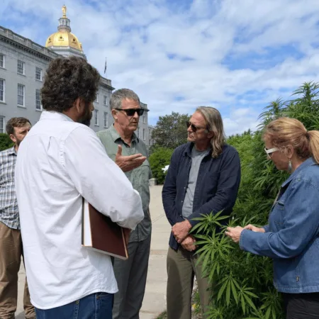 Why the Medicinal Marijuana Cultivation Bill Matters for New Hampshire’s Future Curious about the future of cannabis in NH? Discover the controversy behind the medicinal marijuana cultivation bill and Gov. Ayotte's bold veto decision.