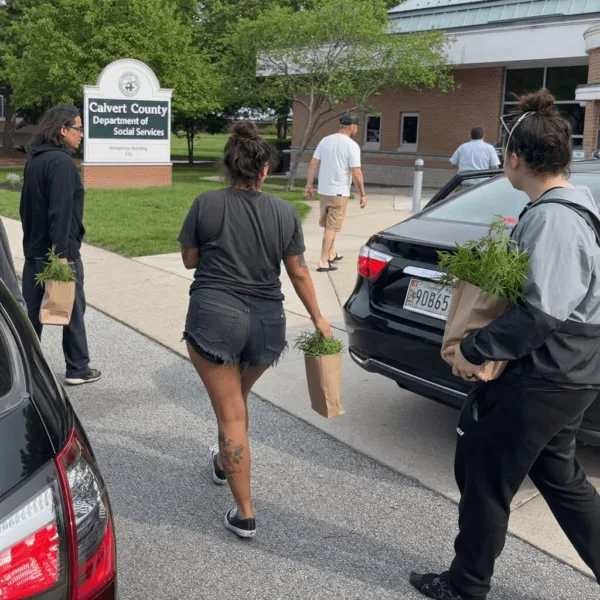 Calvert cannabis dispensary setback making headlines! Discover surprising new developments and what this could mean for local access—are you ready?