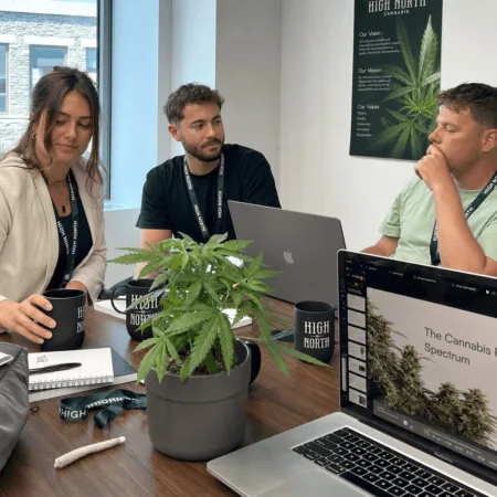 Unlock expert tips & trends in cannabis industry investing—join the buzz now! Don't miss the inside scoop on where smart money moves next.