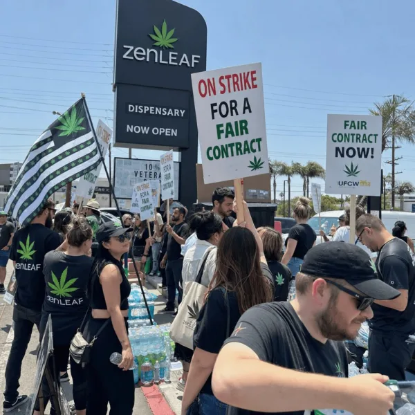 Cannabis Workers Strike: Uniting for Rights in the Face of an Unforgiving Heatwave Curious about the cannabis workers strike? Discover the bold actions, intense heatwave resilience, and what this could mean for the industry—read more now!