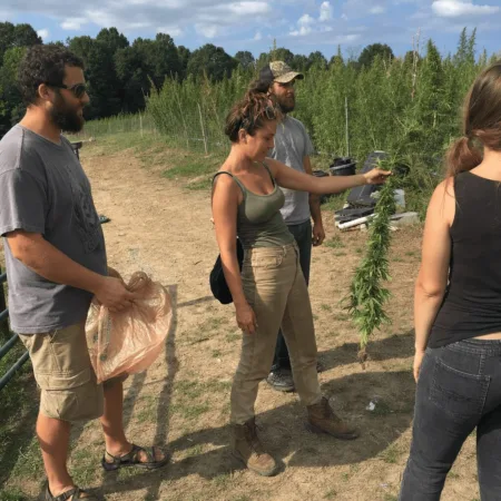 Curious about Carolinas hemp regulation loopholes? Discover the surprising realities the industry doesn’t want you to know. Click to uncover the truth!