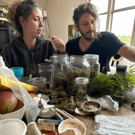 Breaking: DMT drug lab Johnston County raid leads to major arrest. How did authorities discover the operation? Click to uncover the full local story.