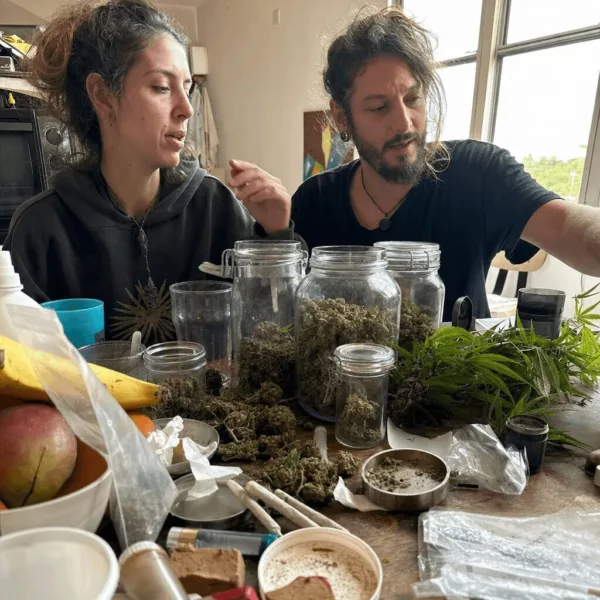 Breaking: DMT drug lab Johnston County raid leads to major arrest. How did authorities discover the operation? Click to uncover the full local story.