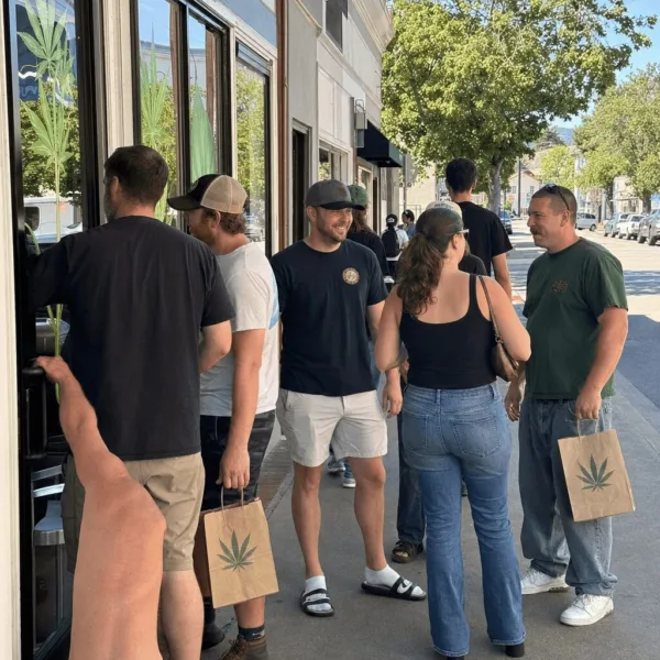 Fairfax Medical Marijuana Denial Ignites Community Debate on Cannabis Access Discover the full story behind the Fairfax medical marijuana denial. Is your access at risk? Click to uncover the real issues and expert insights now.