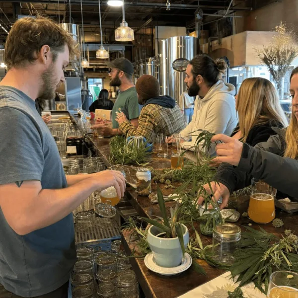 Federal Hemp Product Ban Shakes Up Madison Brewery Scene: What’s Next? Will the federal hemp product ban force local breweries to close their doors? Discover why this issue has Madison’s craft scene on edge—don’t miss out.