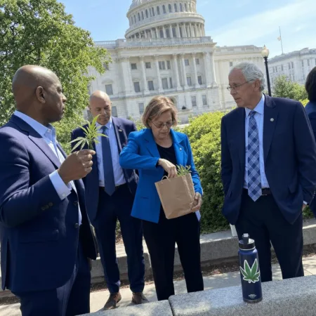 Catch up on federal marijuana legalization: Will new Senate efforts finally change the law? Click to see what this sweeping reform could mean for you.