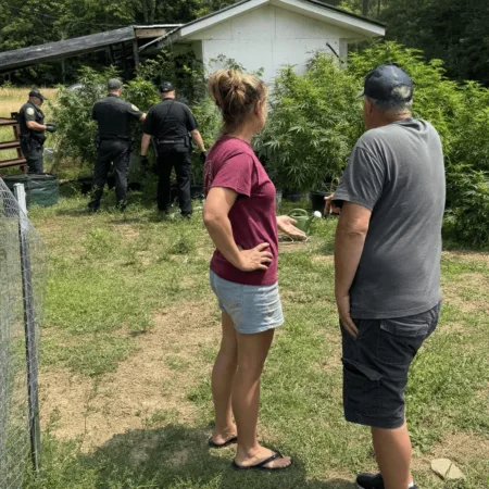 See how a hit-and-run investigation sparked the Fentress County marijuana bust. What did police find? Don’t miss the inside story behind the raid.