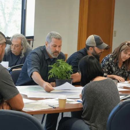 Curious about Hastings zoning marijuana shops? Discover how new zoning rules could shape your access to local dispensaries—don't miss the details!