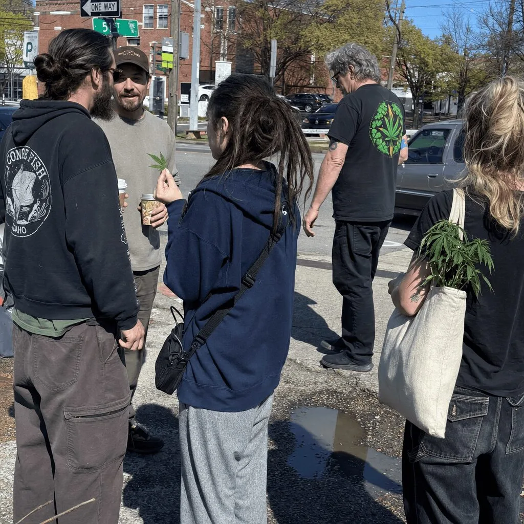How the Tennessee Cannabis Tax Campaign Could Transform Local Communities Curious about the Tennessee cannabis tax campaign? Discover how this bold movement could impact communities—and why it has everyone talking. Click now!