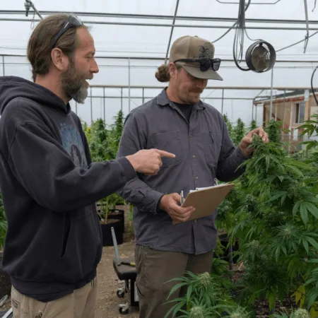 Discover how military discipline fuels the veteran cannabis business. Curious how vets lead the market? Unlock the secrets to their booming success now.