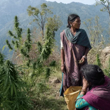 India biodiversity indigenous: The Missing Voices Changing How We See Nature Uncover what’s left out in India biodiversity indigenous conversations. Are crucial voices missing? Find out why you should care—click to explore now!