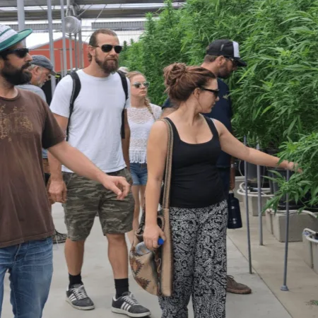 Meet the cannabis farm theft suspects caught in the Carpinteria heist. How did they pull off a half-million dollar crime? Uncover the inside story now.