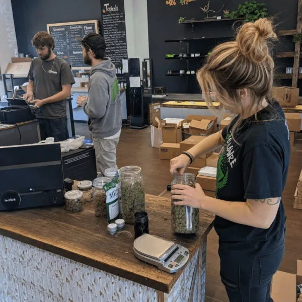 Unpack the shockwaves of the Cannabist breakup bankruptcy. Discover why this marijuana MSO collapse could change everything—are you ready for the fallout?