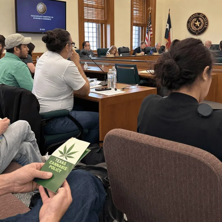 Inside the Real THC Mental Health Texas Debate: Surprising Truths Unveiled! Curious about THC mental health Texas debates? Discover eye-opening insights lawmakers reveal about cannabis and mental wellness in the Lone Star State.