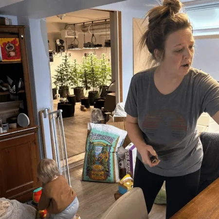Curious about the marijuana grow operation Clermont scandal? Discover the gripping story and shocking details—click to find out what really happened!