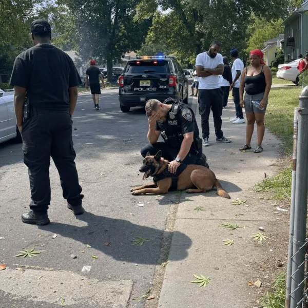 K-9 dies illegal fireworks shock the community—what caused the tragedy? Discover untold angles on this powerful story you don't want to miss.