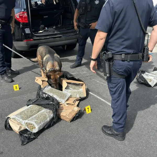 Get the inside story on the K-9 marijuana package bust. What did officers really find inside the suspicious package? Click to uncover exclusive details!
