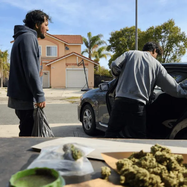 Shocking MDMA trafficking arrest: What really happened in Jacksonville? Discover the latest updates and behind-the-scenes details you can't miss.