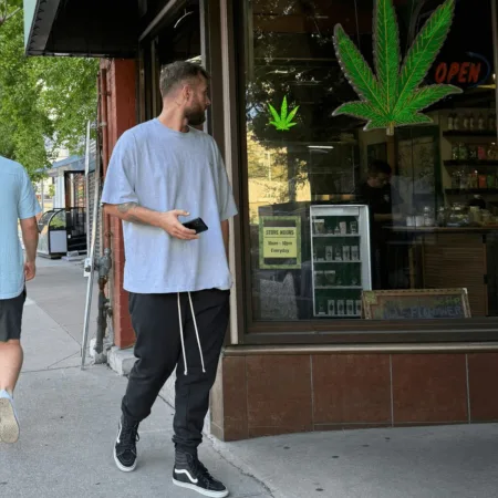Exposing the truth about marijuana company harassment—discover shocking details, legal drama, and what this could mean for your business in Danville.