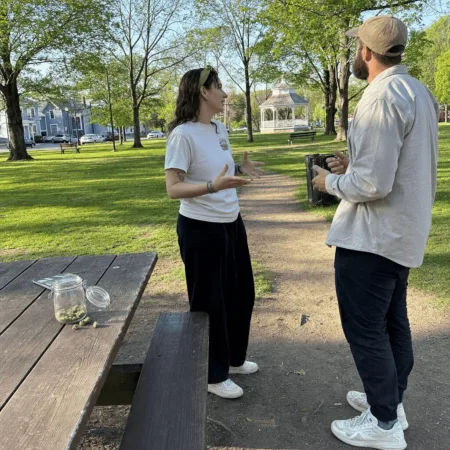 Curious about the legal marijuana repeal Massachusetts debate? Uncover the latest challenges and what they could mean for cannabis laws—click to learn more.