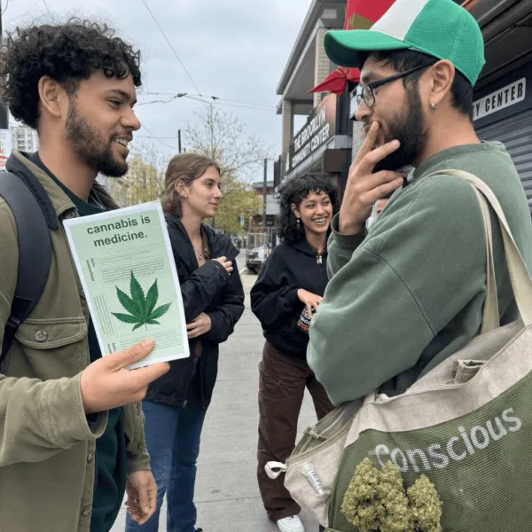 Curious about legal weed? Explore the facts and surprises revealed by New York cannabis education—don't miss what everyone in NY needs to know!