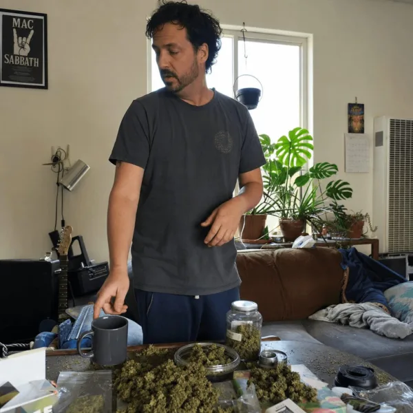 Passadumkeag Marijuana Grow Bust Sparks Debate Over Fairness and Policy Dig into the latest on the Passadumkeag marijuana grow bust—Was justice served? Uncover surprising twists and real consequences in this headline case.