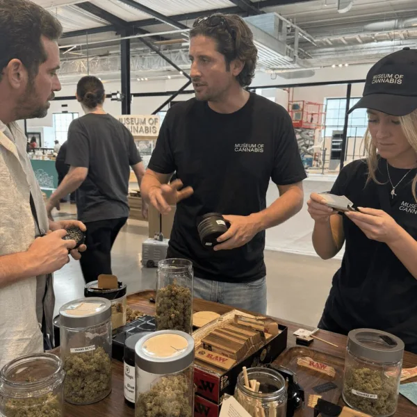 Step inside the future of cannabis at the new RAW Factory Living Museum. Discover exclusive insights and the story behind the RAW Factory Living Museum!