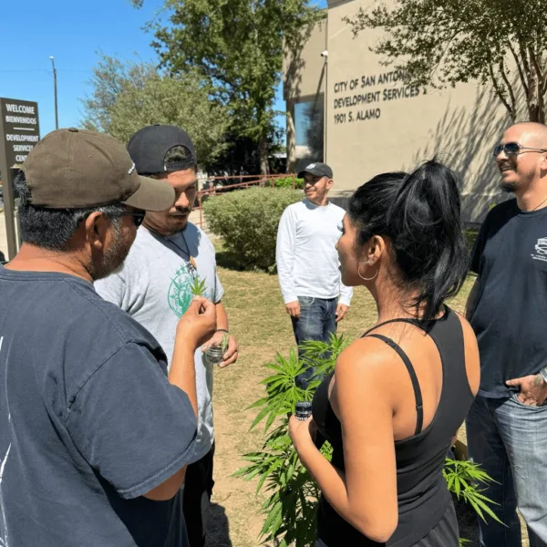 Discover the future of VA psychedelic PTSD trials—will San Antonio lead bold new treatments? See how this initiative could transform mental health care.