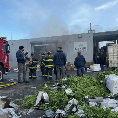 Uncover the shocking truth behind the Santa Rosa cannabis warehouse fire. Was it an accident, or is there more to the story? Don’t miss this deep dive.