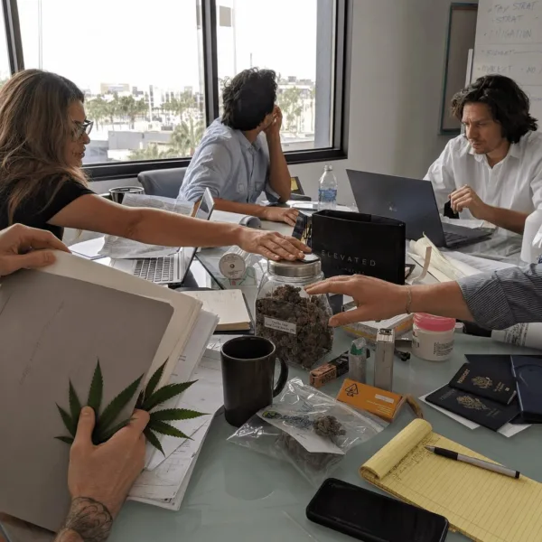 Securing Success: Why International Cannabis Due Diligence Is a Global Gamechanger Unlock the secrets of international cannabis due diligence—avoid hidden risks and outsmart competitors in cross-border deals. Ready to make safer decisions?